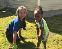 Children volunteering to lay sod at a Habitat home.